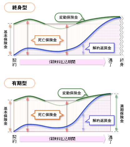 変額保険の死亡保険金と解約返戻金