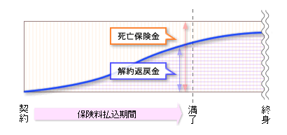 終身保険の死亡保険金と解約返戻金