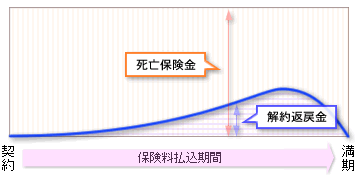 定期保険の死亡保険金と解約返戻金