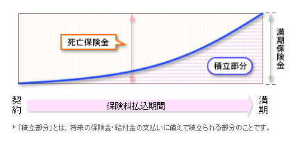 養老保険の死亡保険金と満期保険金